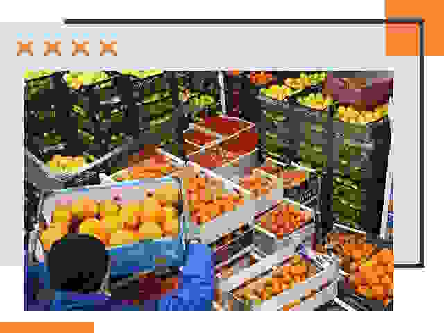 Перевозка скоропортящихся продуктов в Выксе